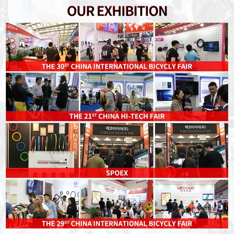 exhibition exhibition